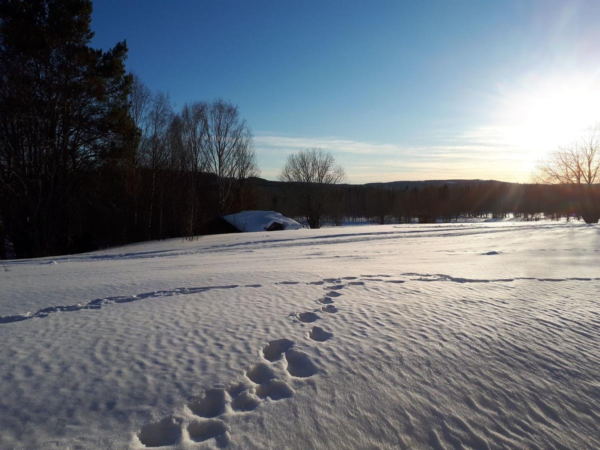 Hotell Indalsleden Bispgården Esterno foto